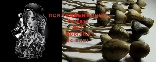 наркотики Алексин