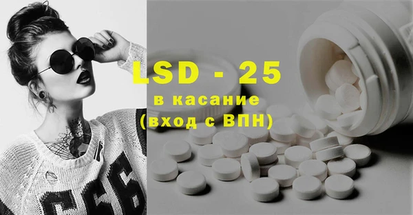 хмурый Абаза