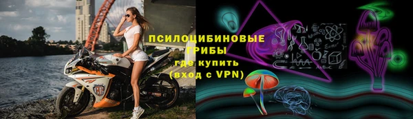 спайс Нягань