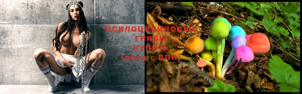 a pvp Абинск