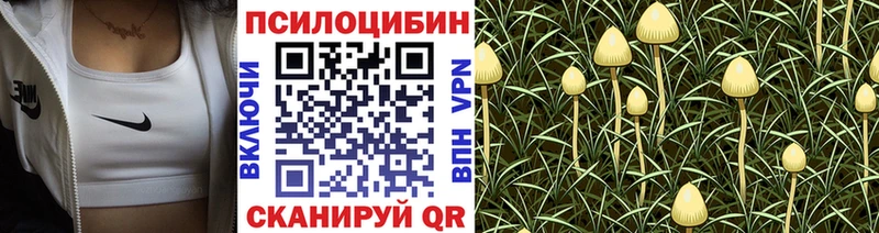 Галлюциногенные грибы мицелий  Миллерово 